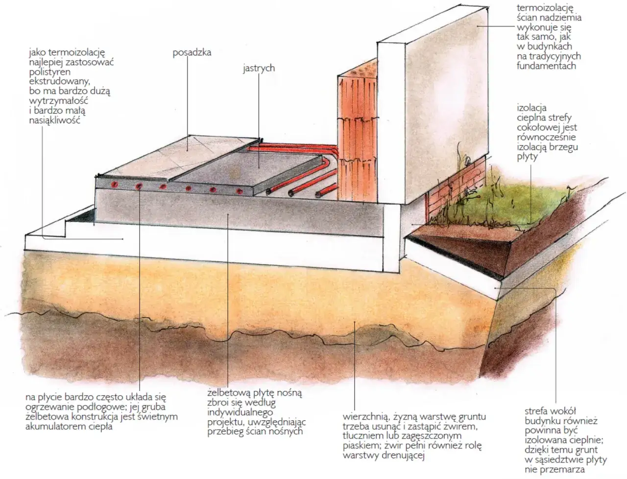 Przekrój przez fundament płyty fundamentowej z ogrzewaniem podłogowym. Izolacja chroni przed mrozem, co to jest fundament.